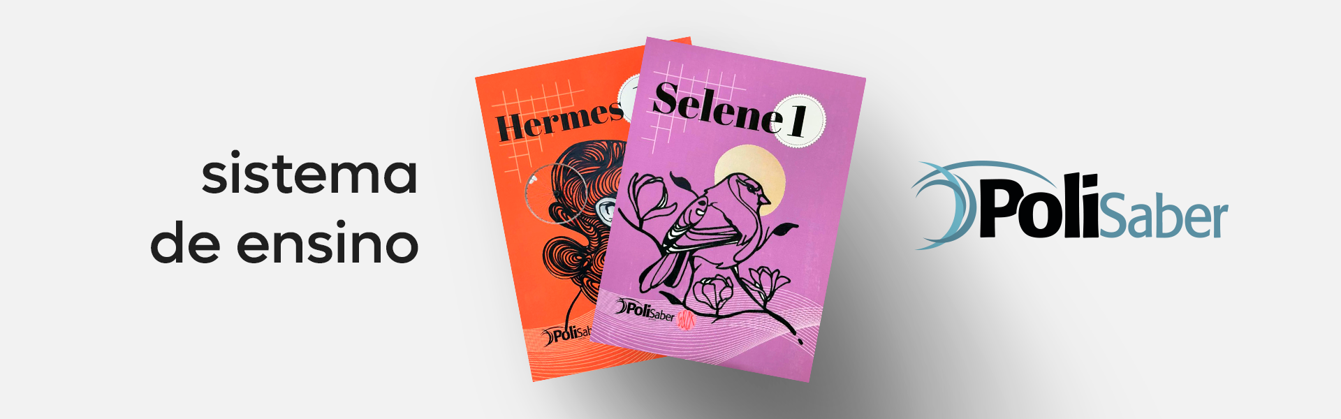 Sistema de Ensino - Poli Saber